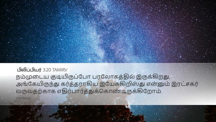 பிலிப்பியர் 3:20 TAMIRV Bible Verse Image