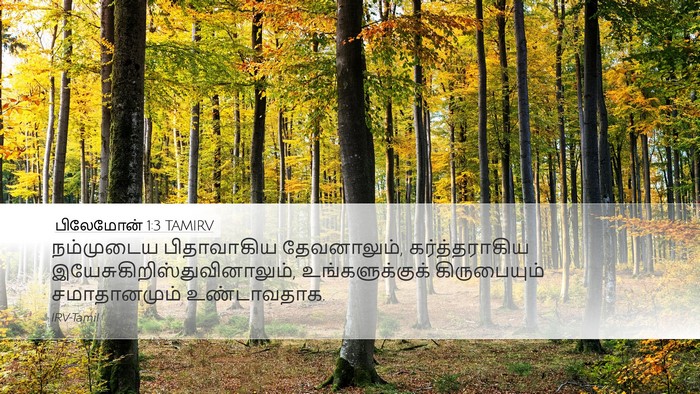 பிலேமோன் 1:3 TAMIRV Desktop Wallpaper - நம்முடைய - Desktop Bible Verse Wallpaper