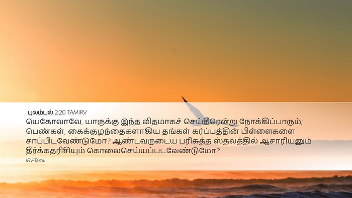 புலம்பல் 2:20 TAMIRV Bible Verse Image