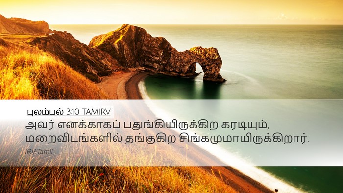 புலம்பல் 3:10 TAMIRV Bible Verse Image