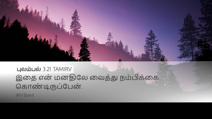 புலம்பல் 3:21 TAMIRV Bible Verse Image