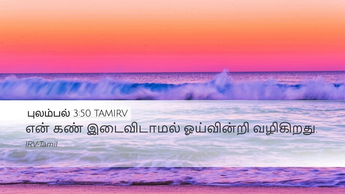 புலம்பல் 3:50 TAMIRV Bible Verse Image