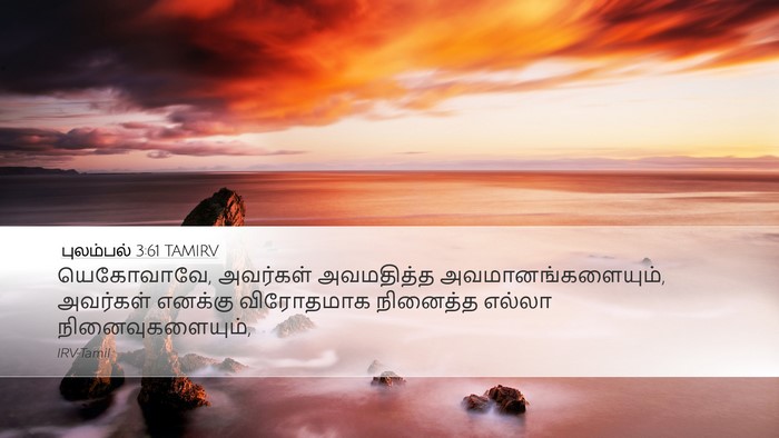 புலம்பல் 3:61 TAMIRV Bible Verse Image
