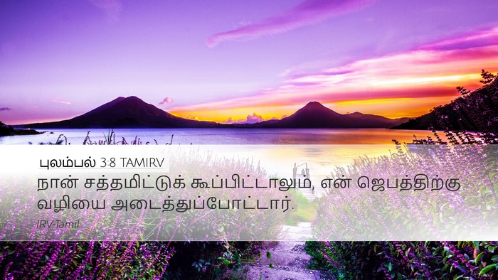 புலம்பல் 3:8 TAMIRV Bible Verse Image