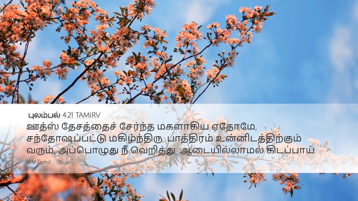 புலம்பல் 4:21 TAMIRV Bible Verse Image