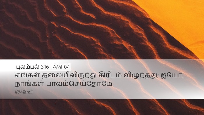 புலம்பல் 5:16 TAMIRV Bible Verse Image
