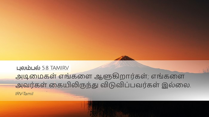 புலம்பல் 5:8 TAMIRV Bible Verse Image