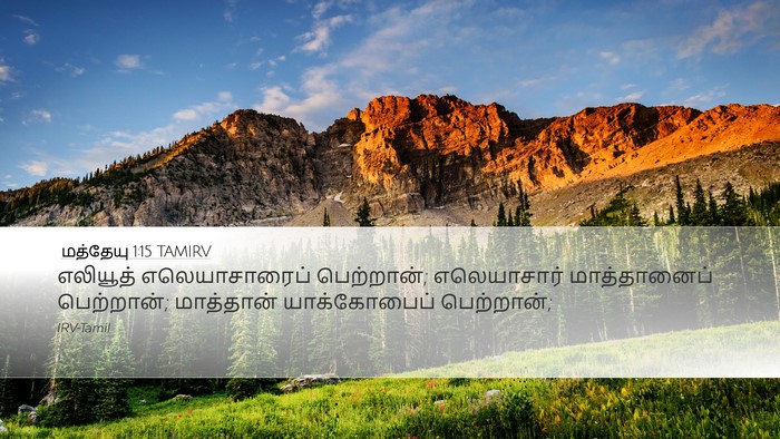 மத்தேயு 1:15 TAMIRV Desktop Wallpaper - எலியூத் - Desktop Bible Verse Wallpaper