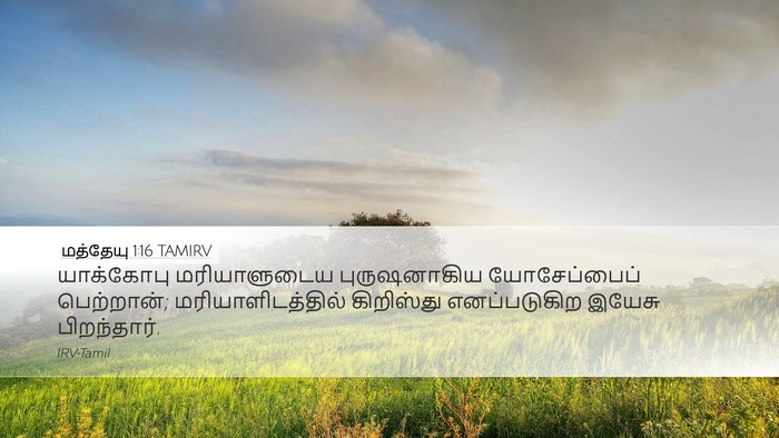 மத்தேயு 1:16 TAMIRV Bible Verse Image