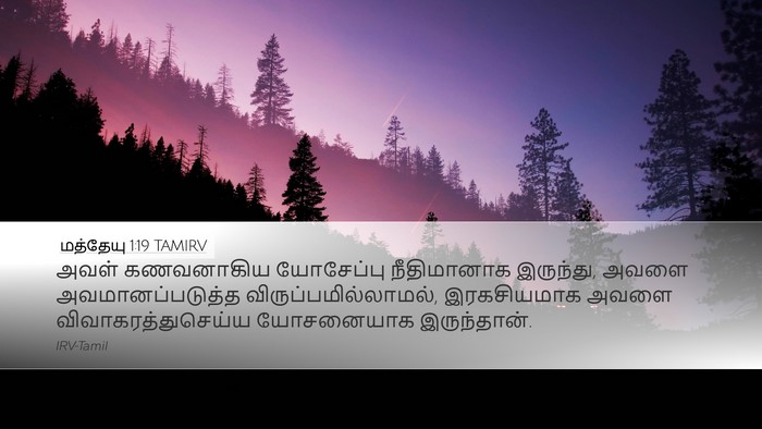 மத்தேயு 1:19 TAMIRV Desktop Wallpaper - அவள் கணவனாகிய - Desktop Bible Verse Wallpaper