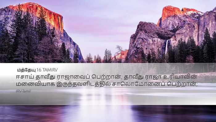 மத்தேயு 1:6 TAMIRV Bible Verse Image