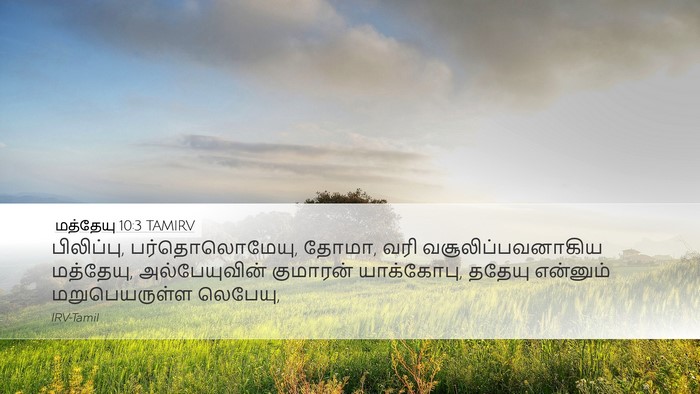 மத்தேயு 10:3 TAMIRV Bible Verse Image