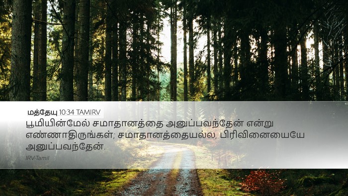 மத்தேயு 10:34 TAMIRV Desktop Wallpaper - பூமியின்மேல் - Desktop Bible Verse Wallpaper