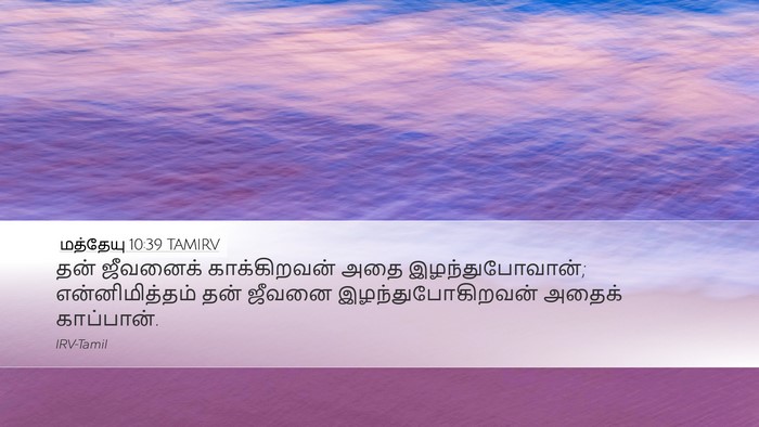 மத்தேயு 10:39 TAMIRV Bible Verse Image