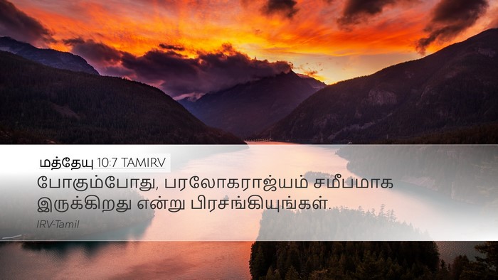 மத்தேயு 10:7 TAMIRV Bible Verse Image