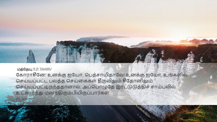 மத்தேயு 11:21 TAMIRV Bible Verse Image