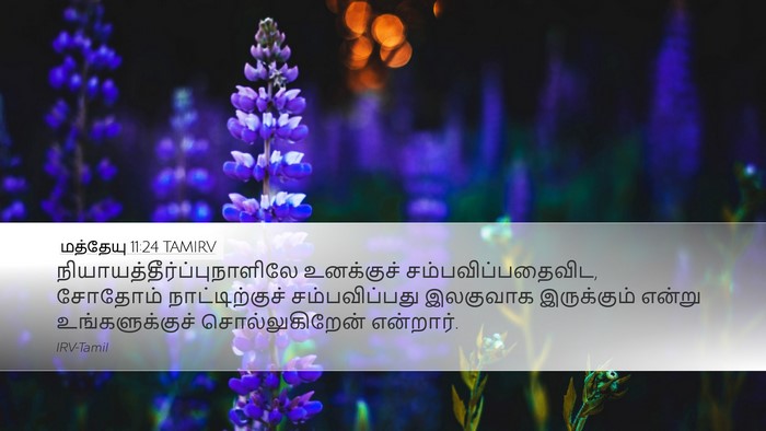 மத்தேயு 11:24 TAMIRV Bible Verse Image