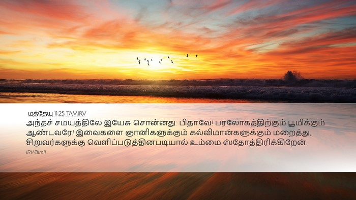மத்தேயு 11:25 TAMIRV Bible Verse Image