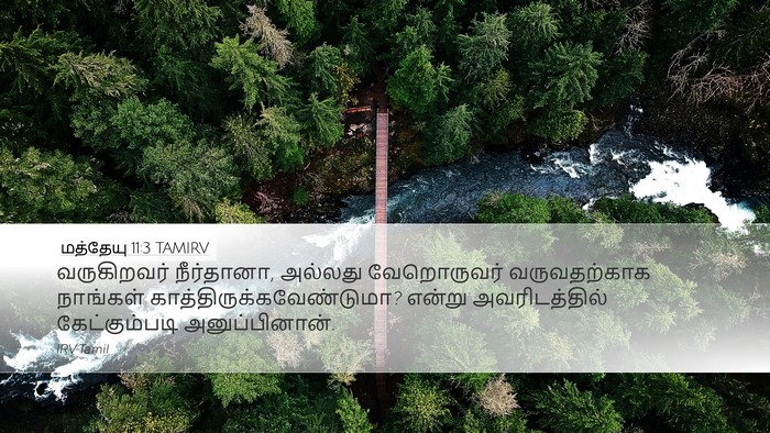மத்தேயு 11:3 TAMIRV Bible Verse Image