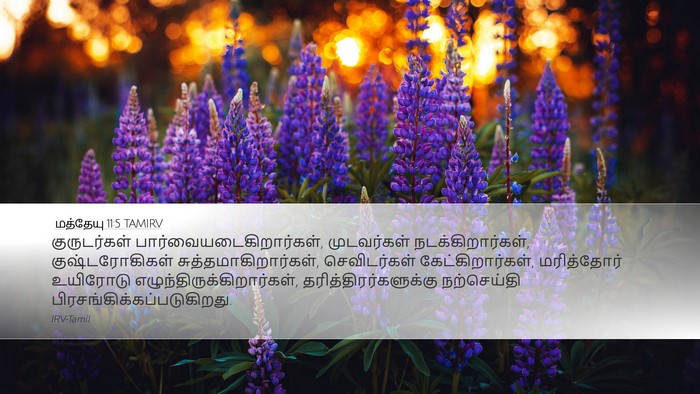 மத்தேயு 11:5 TAMIRV Bible Verse Image