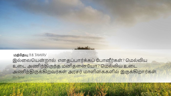 மத்தேயு 11:8 TAMIRV Bible Verse Image