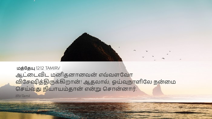 மத்தேயு 12:12 TAMIRV Bible Verse Image