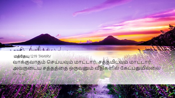 மத்தேயு 12:19 TAMIRV Bible Verse Image