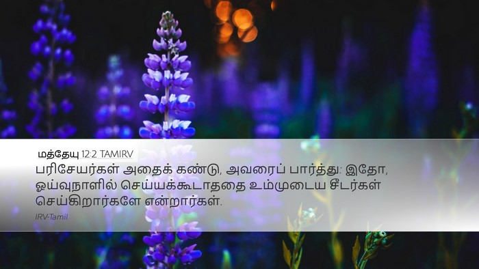 மத்தேயு 12:2 TAMIRV Bible Verse Image