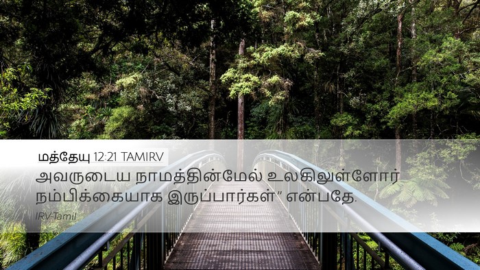மத்தேயு 12:21 TAMIRV Desktop Wallpaper - அவருடைய - Desktop Bible Verse Wallpaper