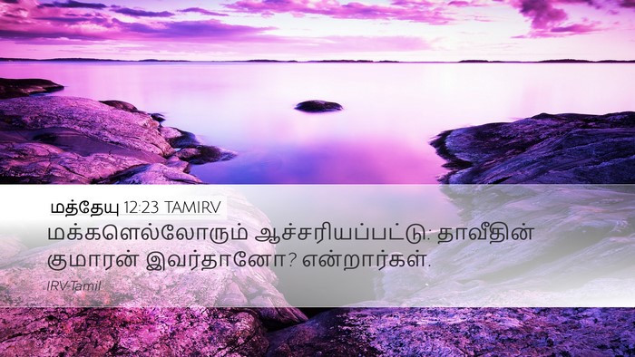 மத்தேயு 12:23 TAMIRV Bible Verse Image