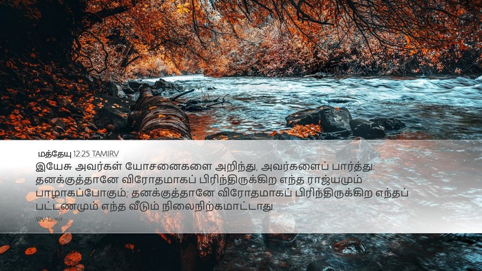 மத்தேயு 12:25 TAMIRV Bible Verse Image