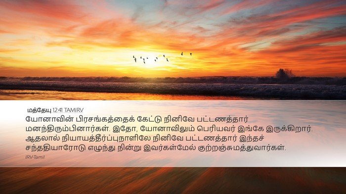 மத்தேயு 12:41 TAMIRV Bible Verse Image