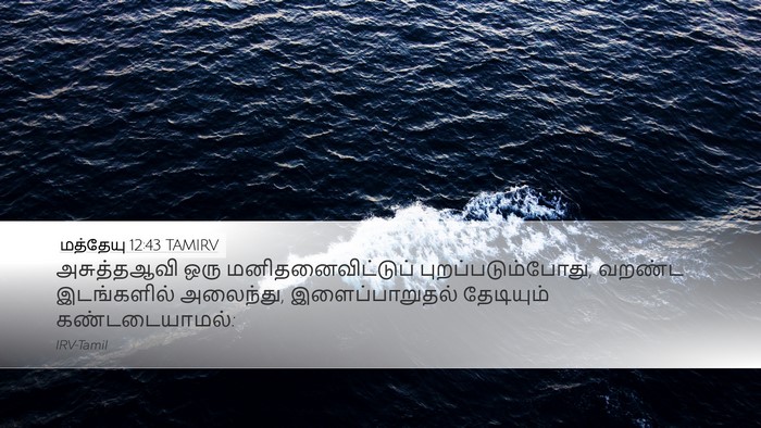 மத்தேயு 12:43 TAMIRV Bible Verse Image