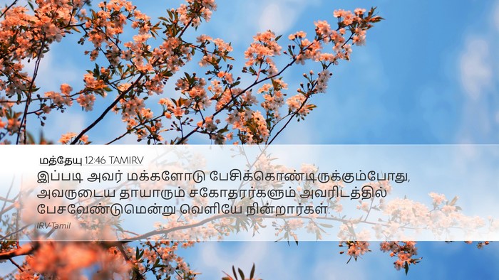 மத்தேயு 12:46 TAMIRV Bible Verse Image