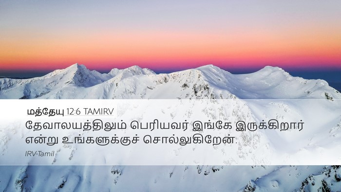மத்தேயு 12:6 TAMIRV Bible Verse Image