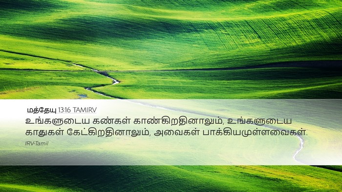 மத்தேயு 13:16 TAMIRV Bible Verse Image