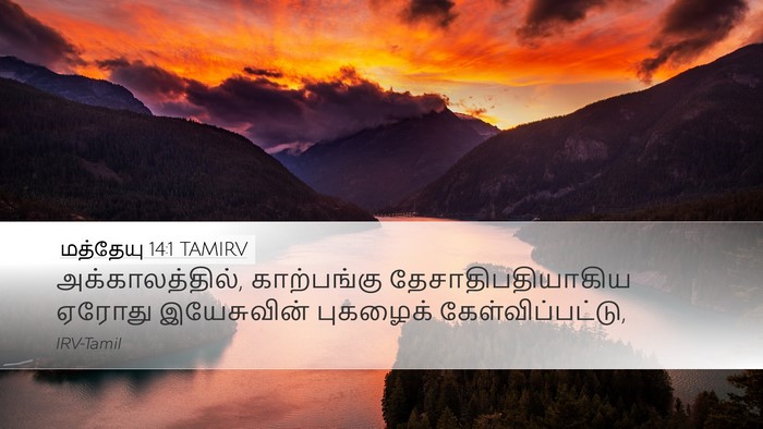 மத்தேயு 14:1 TAMIRV Bible Verse Image