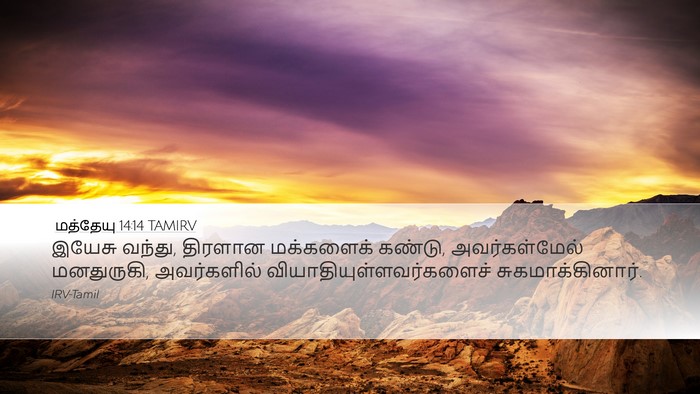 மத்தேயு 14:14 TAMIRV Bible Verse Image