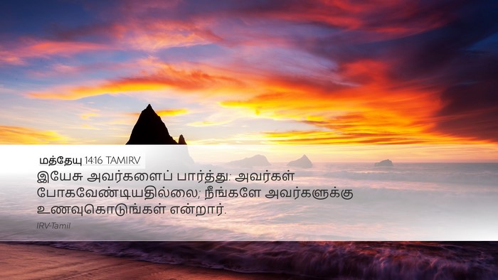 மத்தேயு 14:16 TAMIRV Bible Verse Image