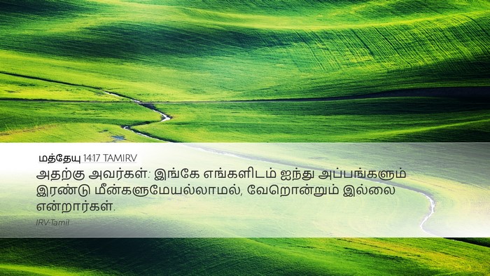 மத்தேயு 14:17 TAMIRV Bible Verse Image