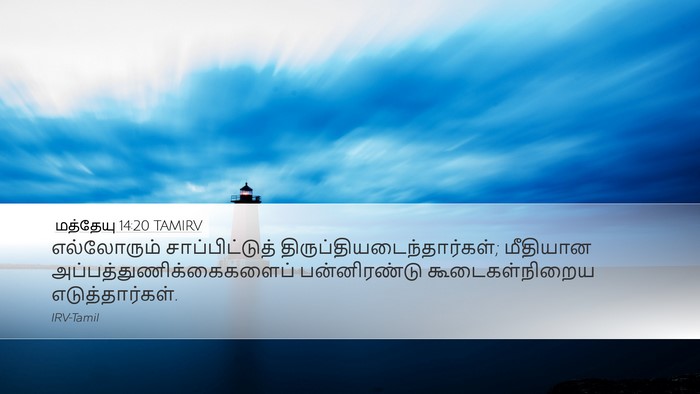 மத்தேயு 14:20 TAMIRV Bible Verse Image
