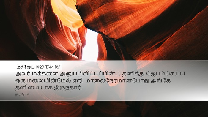 மத்தேயு 14:23 TAMIRV Bible Verse Image