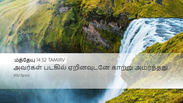 மத்தேயு 14:32 TAMIRV Bible Verse Image
