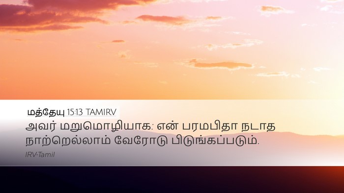 மத்தேயு 15:13 TAMIRV Bible Verse Image