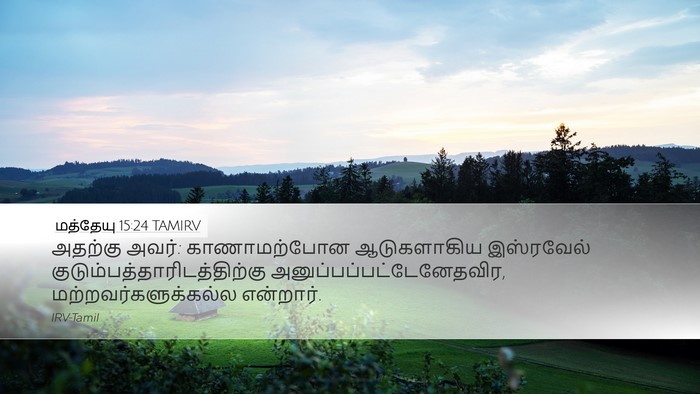 மத்தேயு 15:24 TAMIRV Bible Verse Image