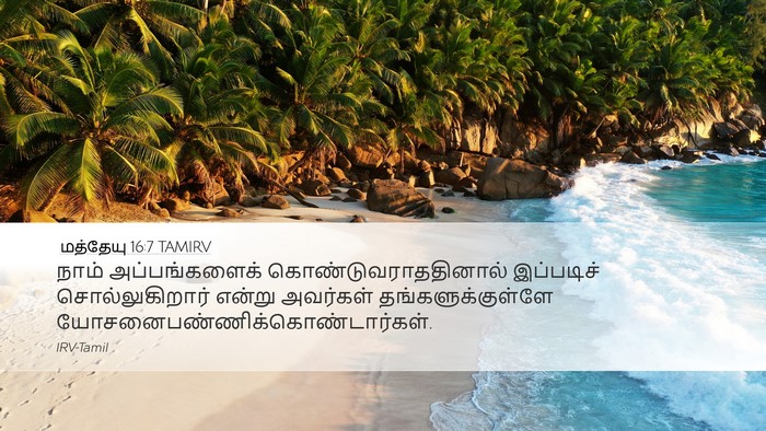 மத்தேயு 16:7 TAMIRV Desktop Wallpaper - நாம் அப்பங்களைக் - Desktop Bible Verse Wallpaper