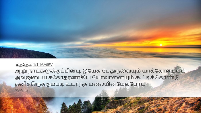 மத்தேயு 17:1 TAMIRV Bible Verse Image