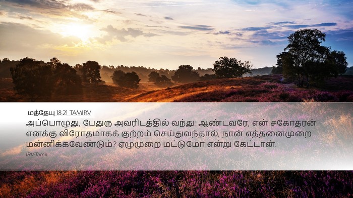 மத்தேயு 18:21 TAMIRV Bible Verse Image