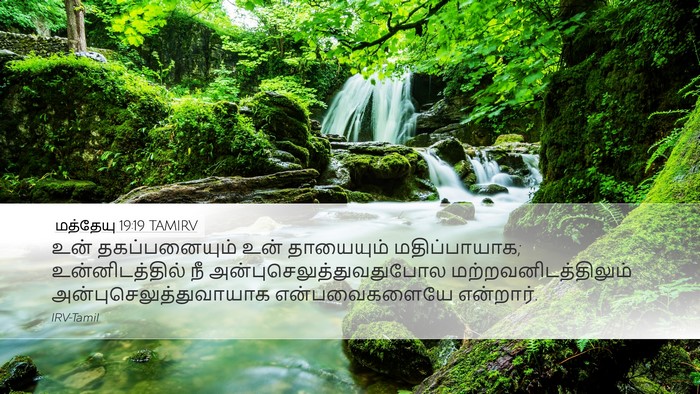 மத்தேயு 19:19 TAMIRV Bible Verse Image