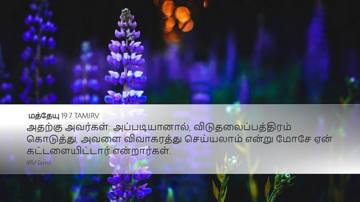 மத்தேயு 19:7 TAMIRV Bible Verse Image